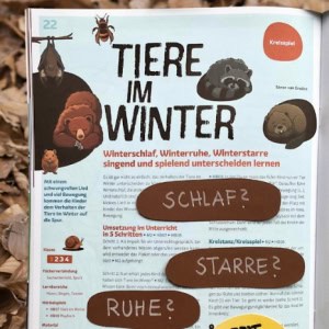 Igel Lied Grundschule Kleine Igel schlafen gern Lugert Verlag Musik im Grundschulunterricht