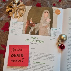 Praxis des Musikunterrichts 164 Weihnachtslied Klasse 6 bis 13 Mary Did you Know Leadsheet