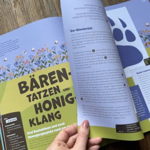 Bewegungsspiel Bär Musik in der Kita 49 Lugert Verlag